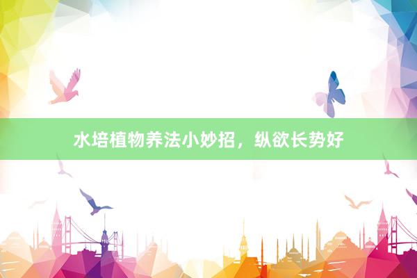 水培植物养法小妙招，纵欲长势好