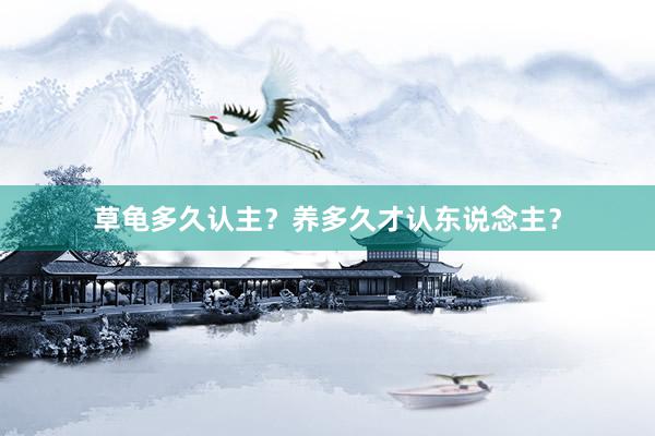 草龟多久认主？养多久才认东说念主？