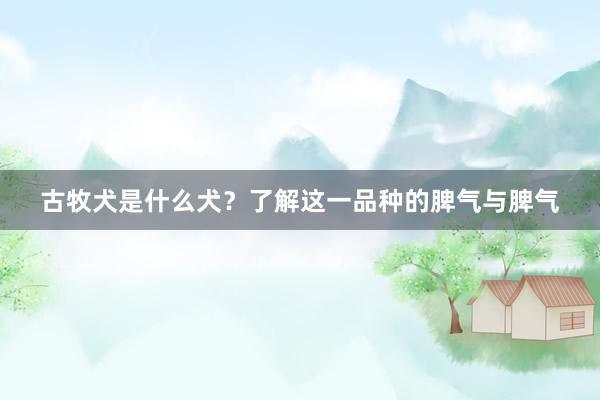古牧犬是什么犬？了解这一品种的脾气与脾气