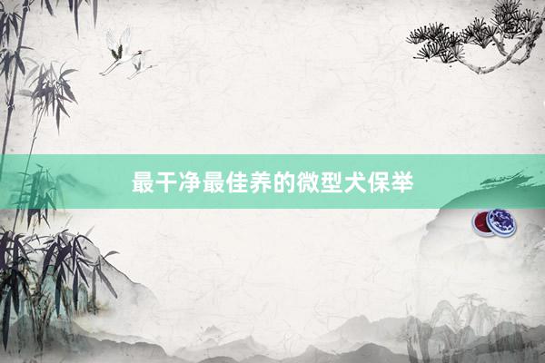 最干净最佳养的微型犬保举
