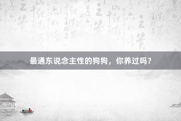 最通东说念主性的狗狗，你养过吗？