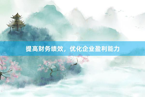 提高财务绩效，优化企业盈利能力
